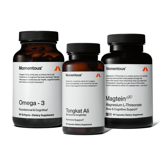 Brain, Body, and Sleep Stack